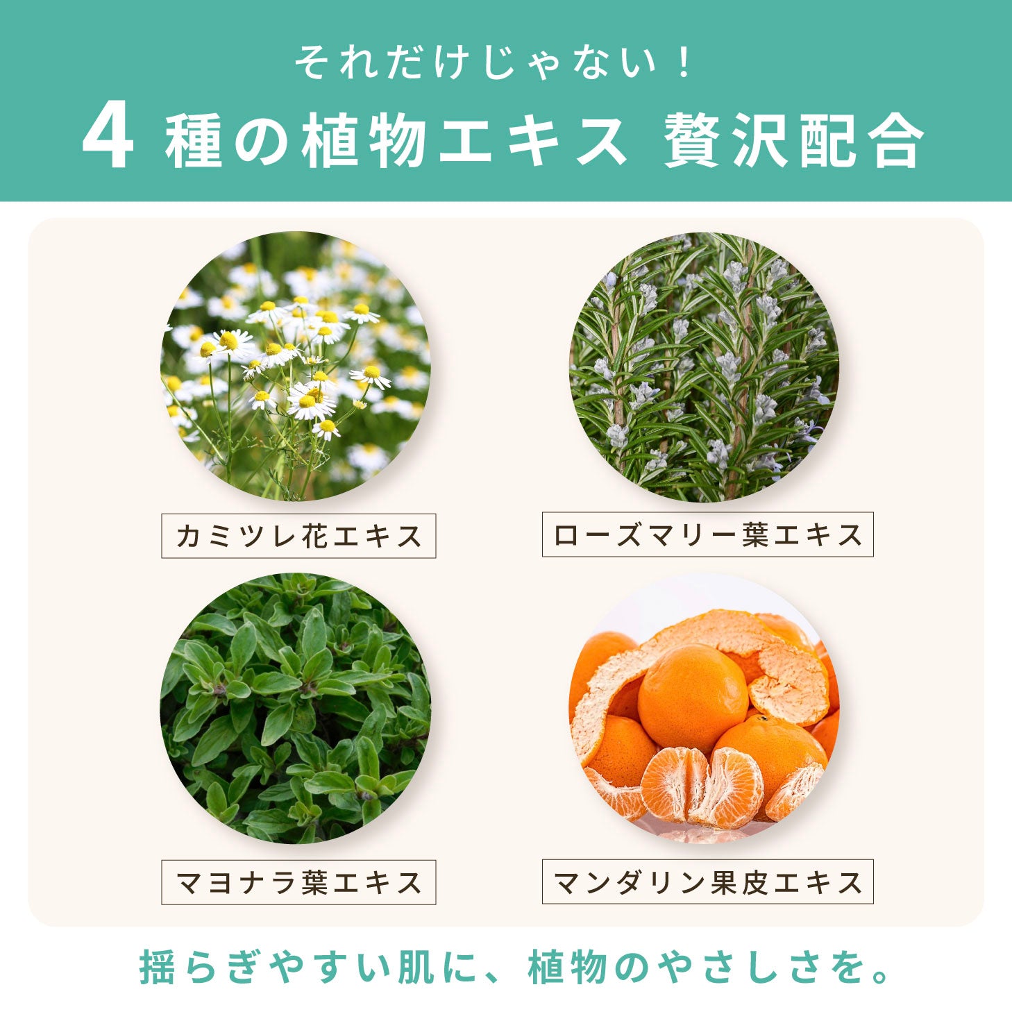 ang.u アンジーユー 高橋恵子プロデュース 化粧水 ミストローション 100ml