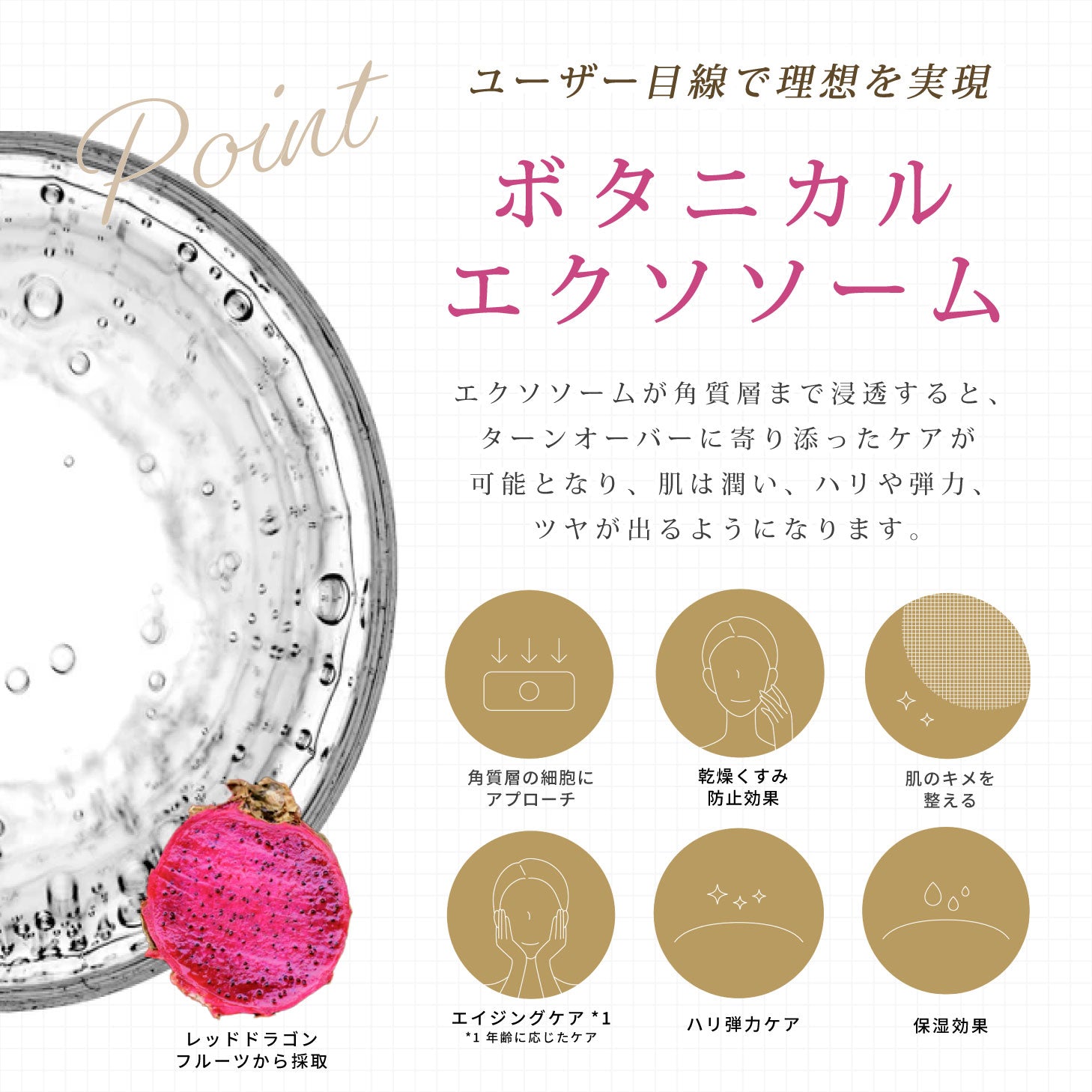 EXO THE LAB ボタニカルエクソソーム高含有 美容液 免税店商品