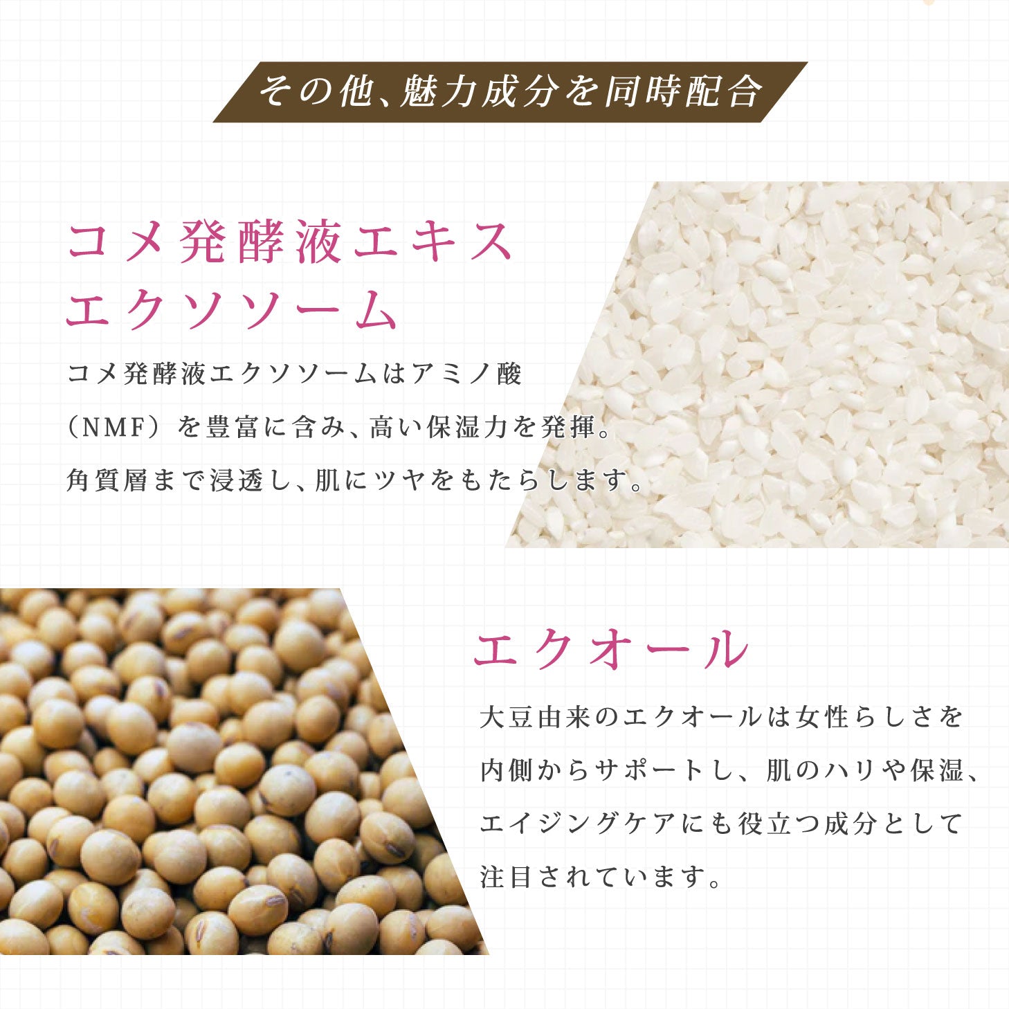 EXO THE LAB ボタニカルエクソソーム高含有 美容液 免税店商品