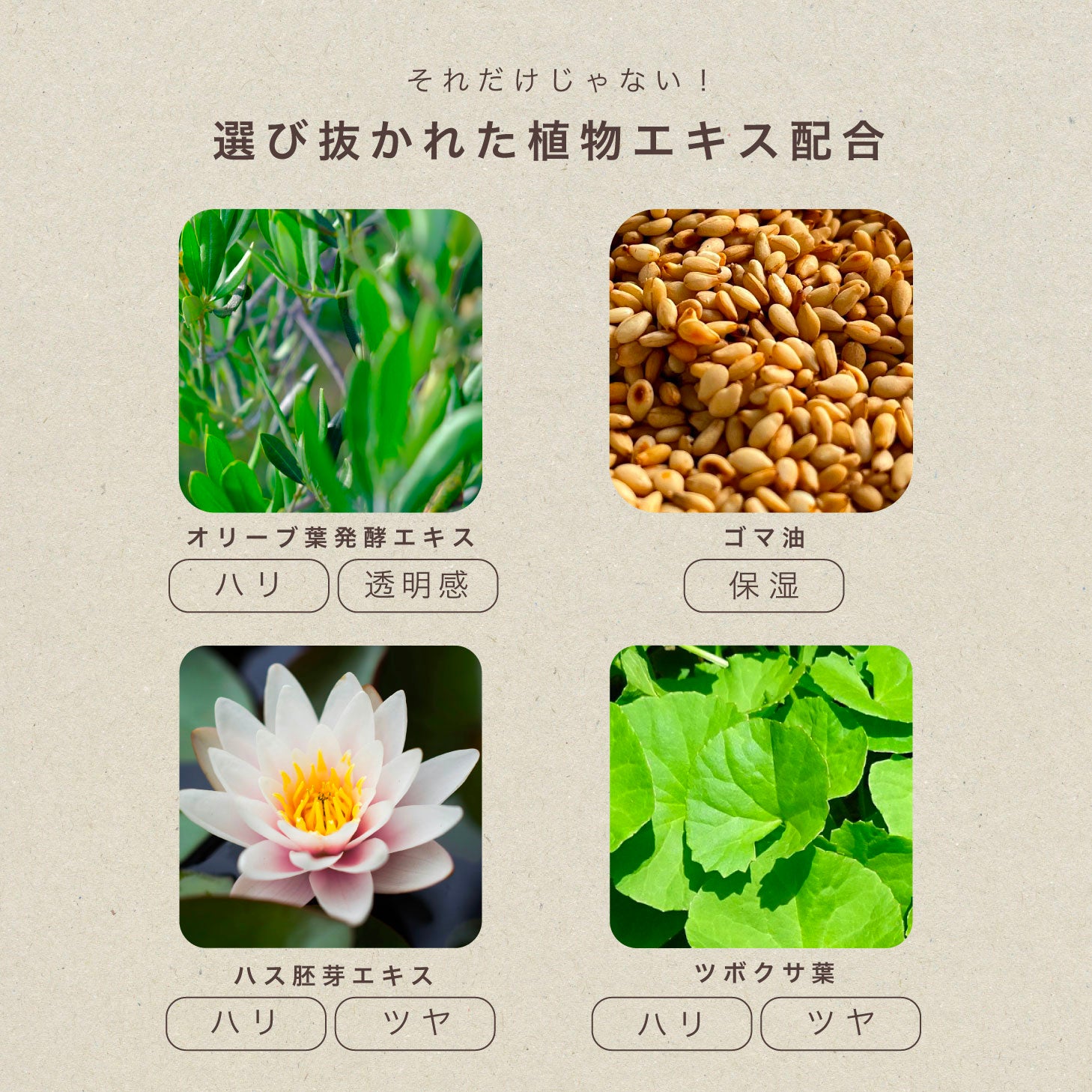 kikala ニームリーフローション 化粧水 sou 150ml