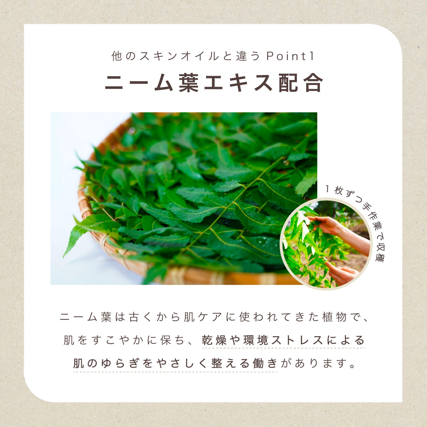 kikala ニームリーフオイル スキンオイル 2種 zen you