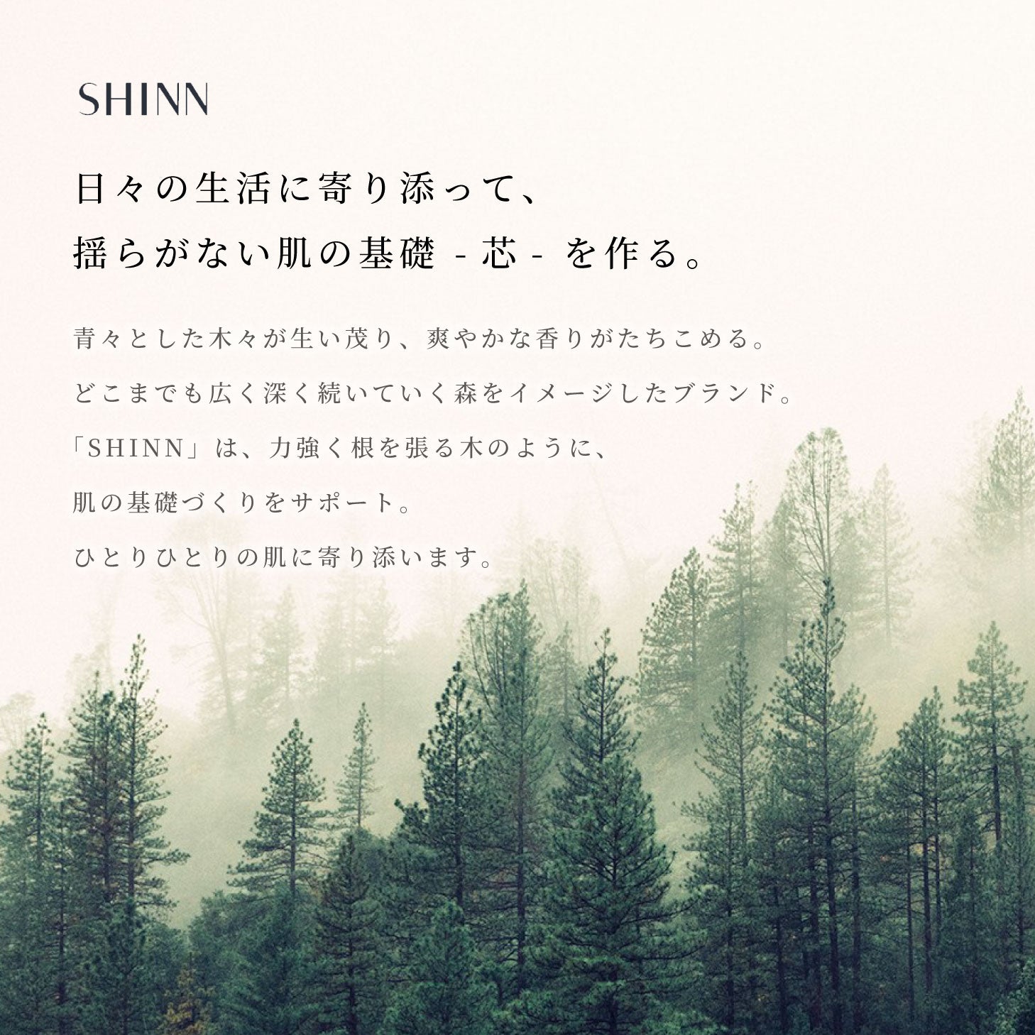 SHINN SENフォームローション 化粧水 100ml