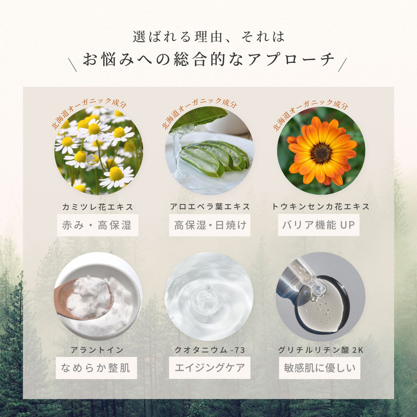 SHINN SENフォームローション 化粧水 100ml