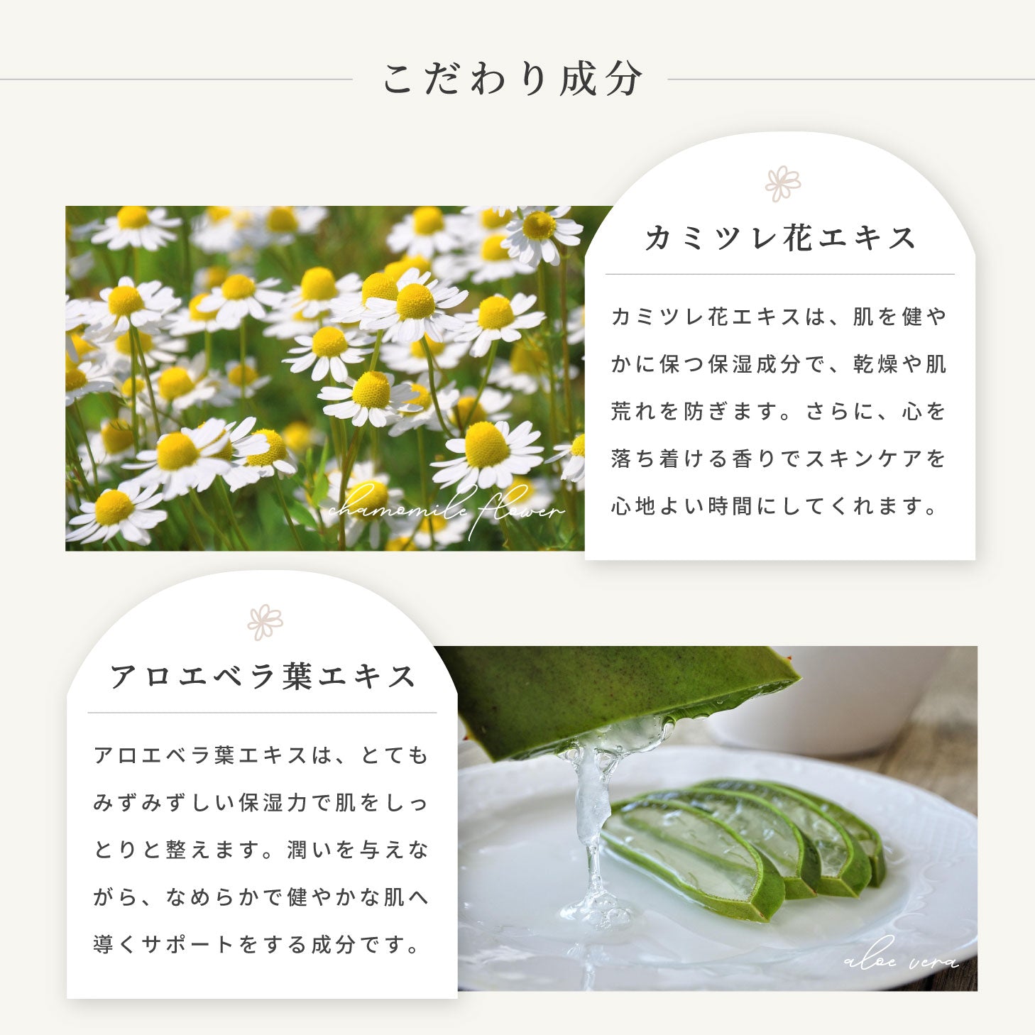 SHINN SENフォームローション 化粧水 100ml