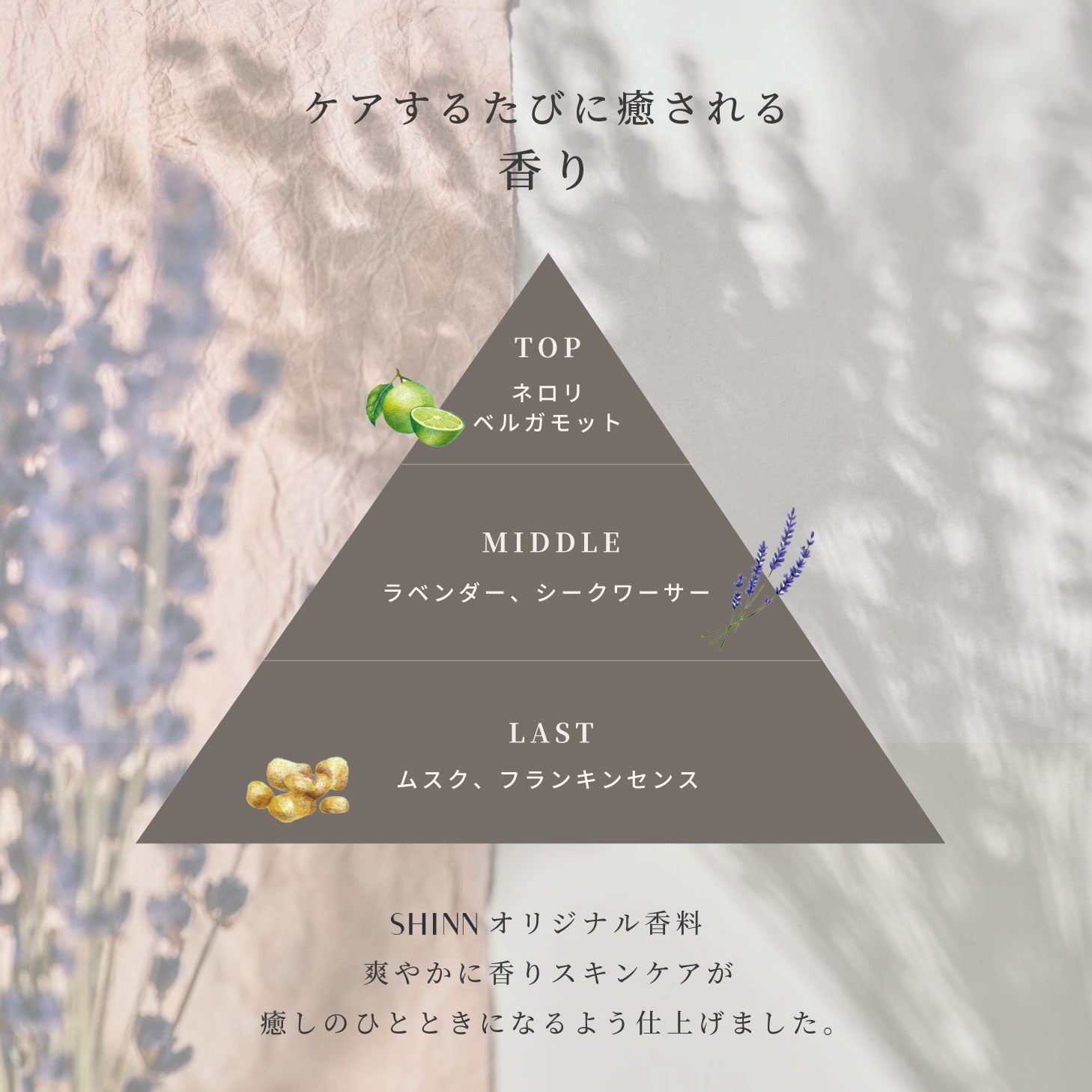 SHINN SENフォームローション 化粧水 100ml