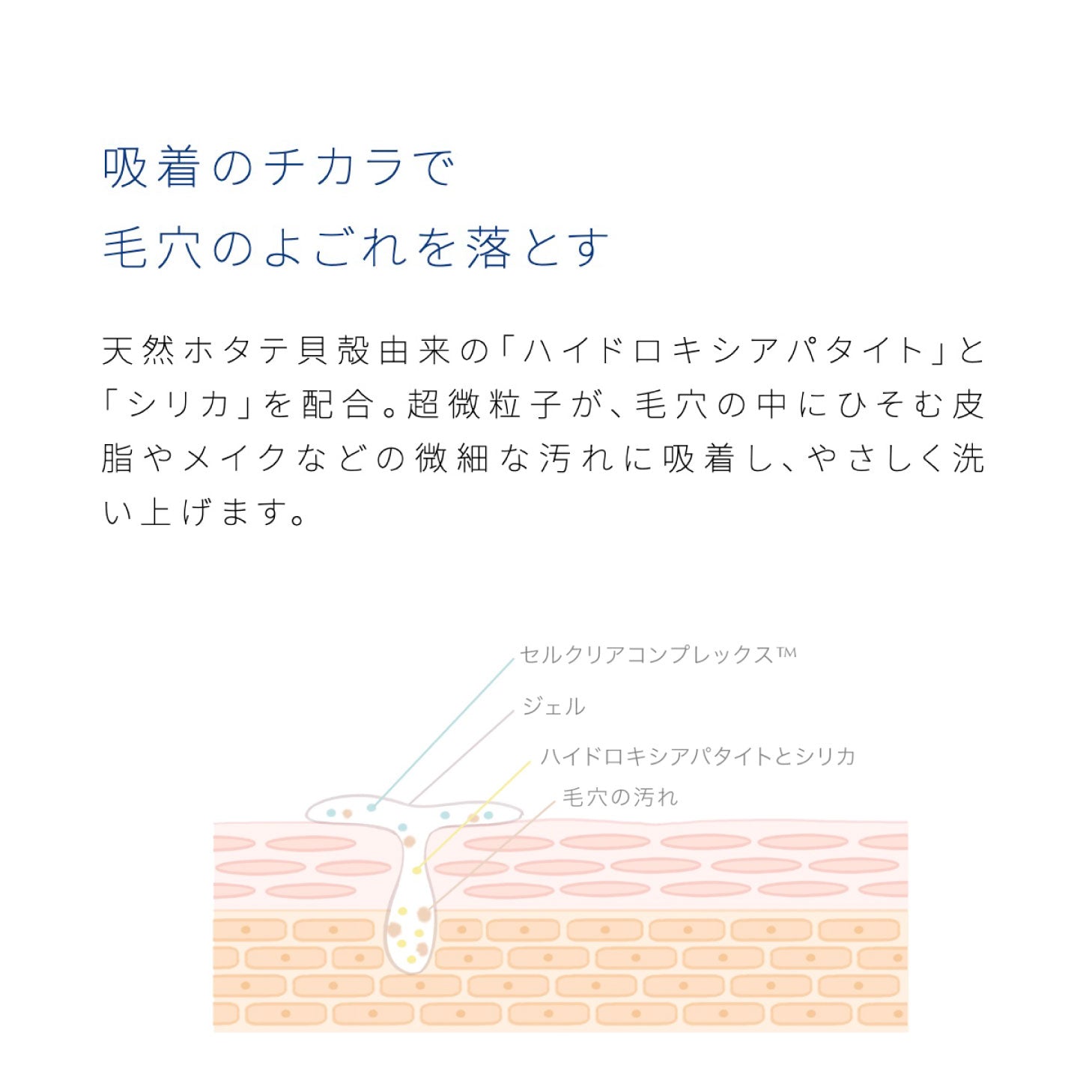 シグナリフト 洗顔ジェル 泡立て不要 約120回分