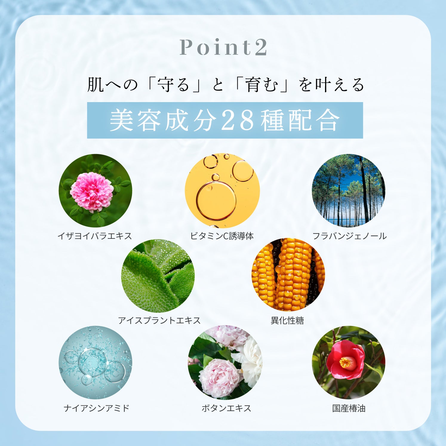 ヴェールドアクア モーニングBBクリーム 50g