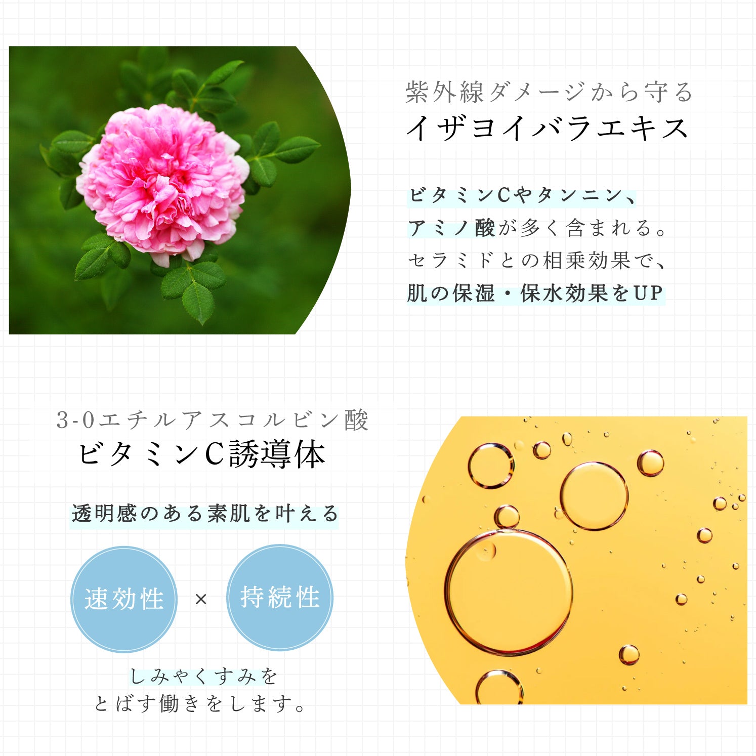 ヴェールドアクア モーニングBBクリーム 50g
