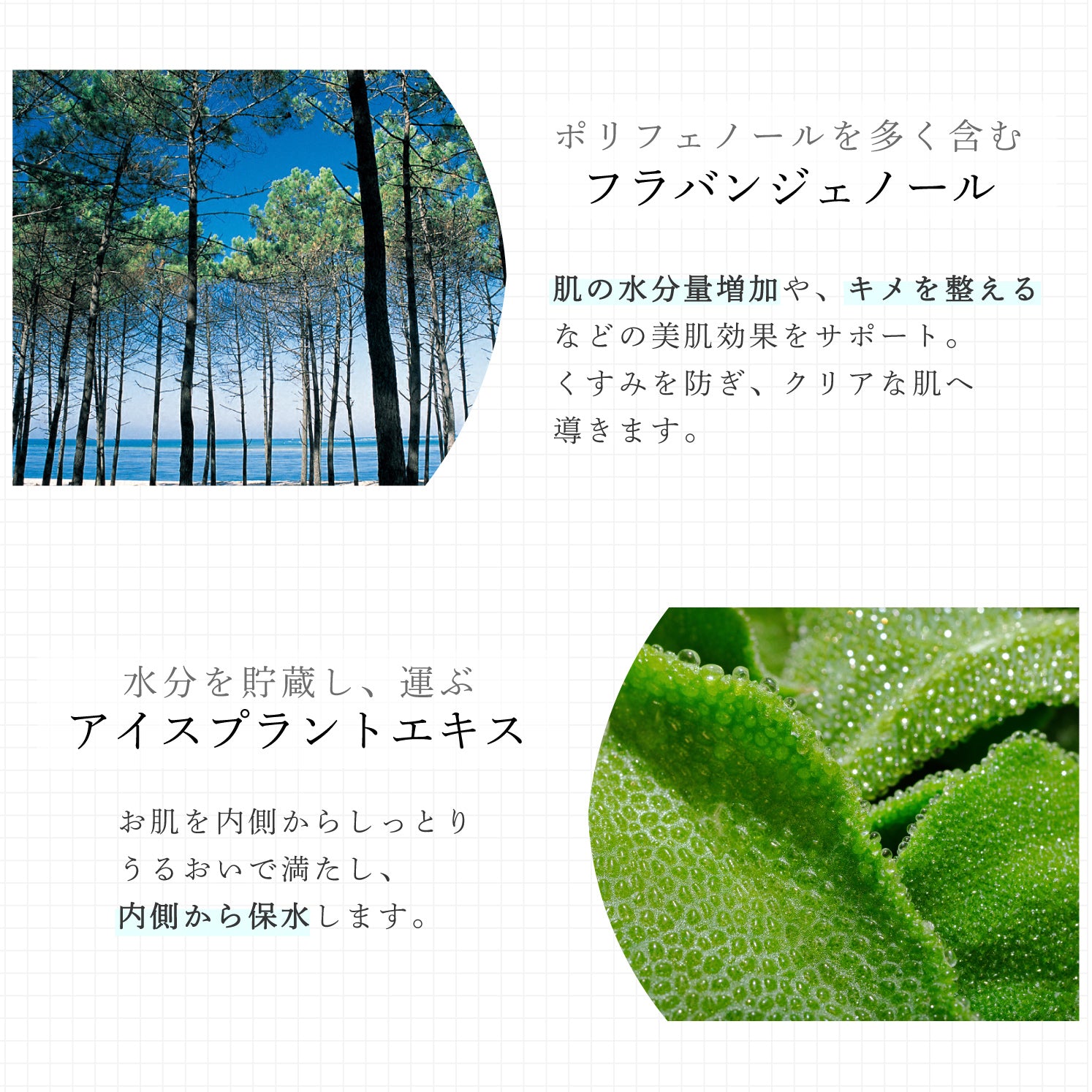 ヴェールドアクア モーニングBBクリーム 50g