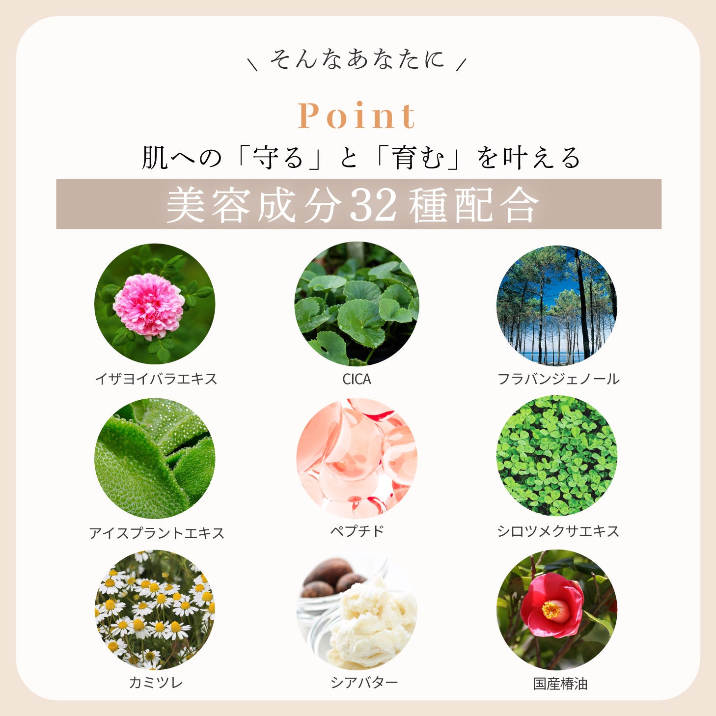 ヴェールドアクア ナイトクリーム 50g
