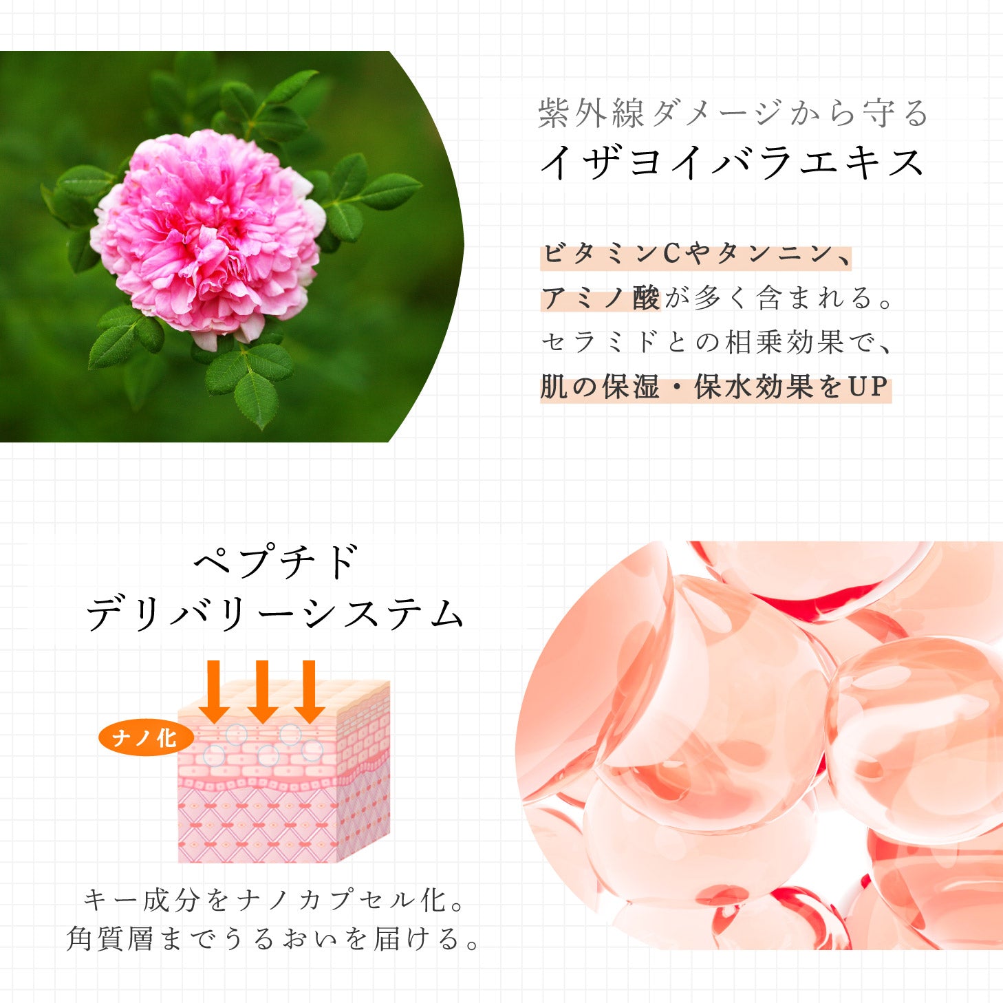 ヴェールドアクア ナイトクリーム 50g