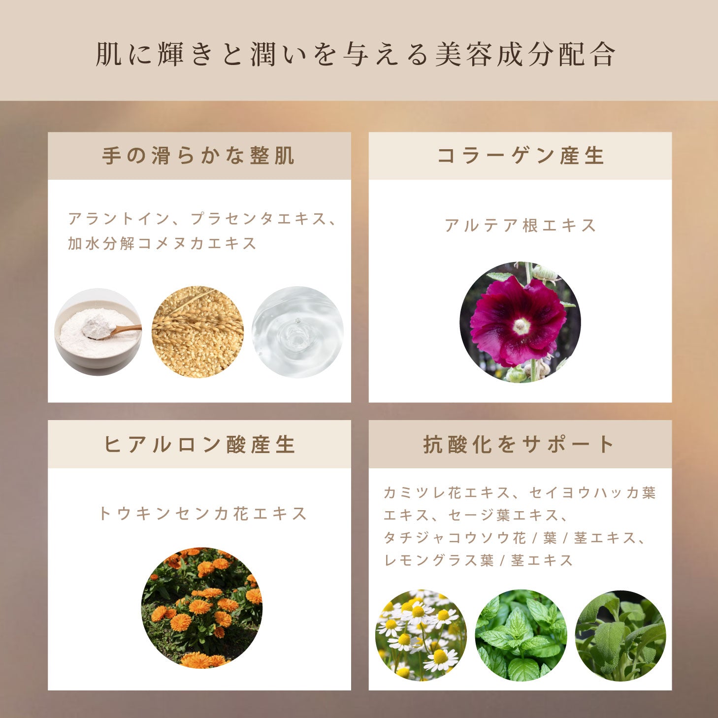 Soie エンライトハンドセラム