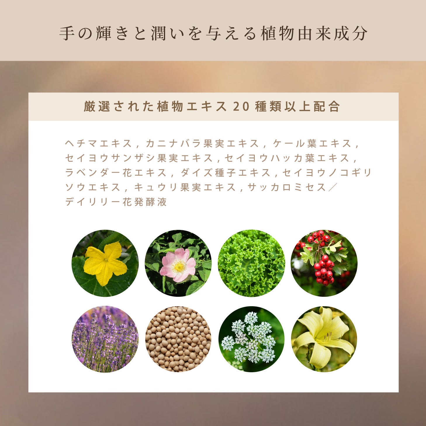 Soie エンライトハンドセラム