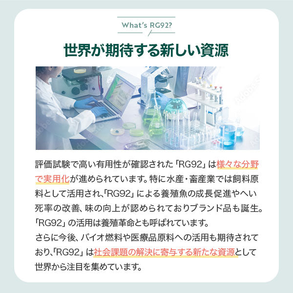 RG92 ドリンク10本