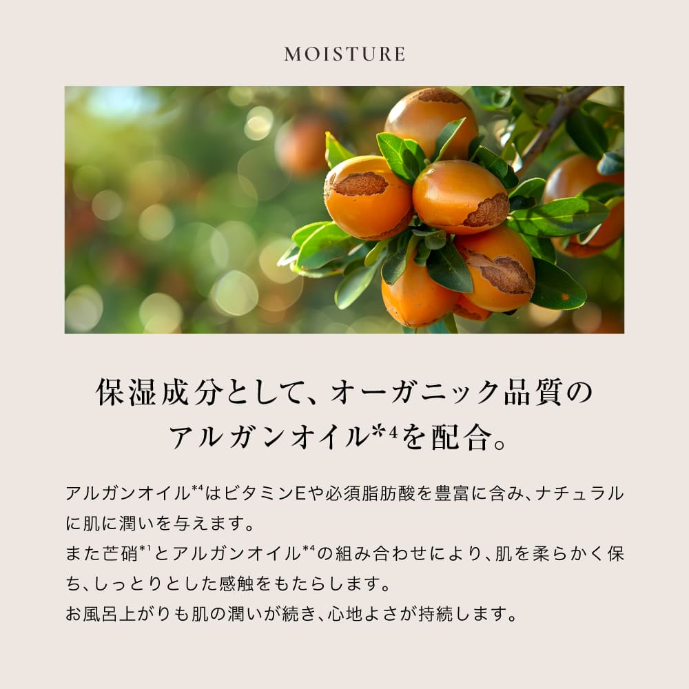 フレモ バスパウダー