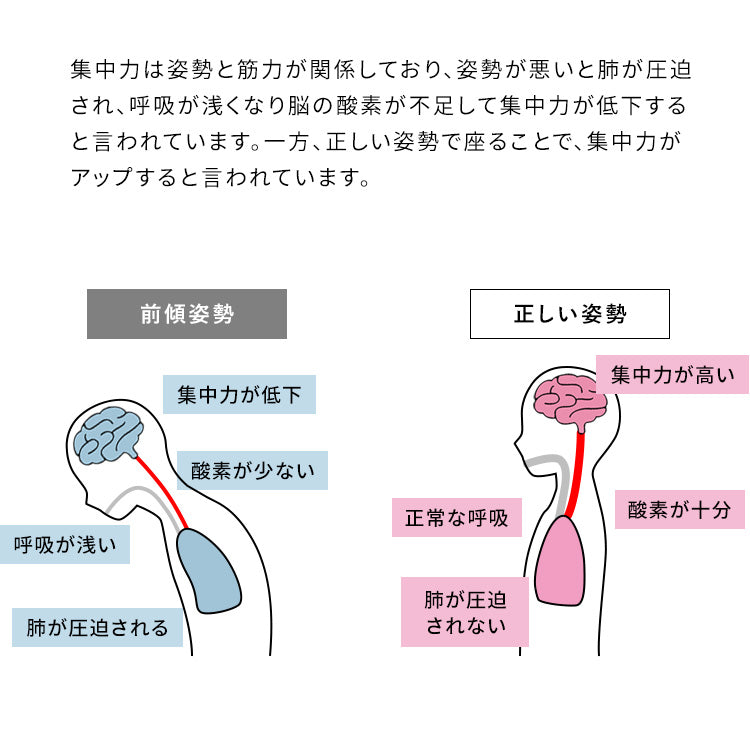 プロポーションチェア ジュニア