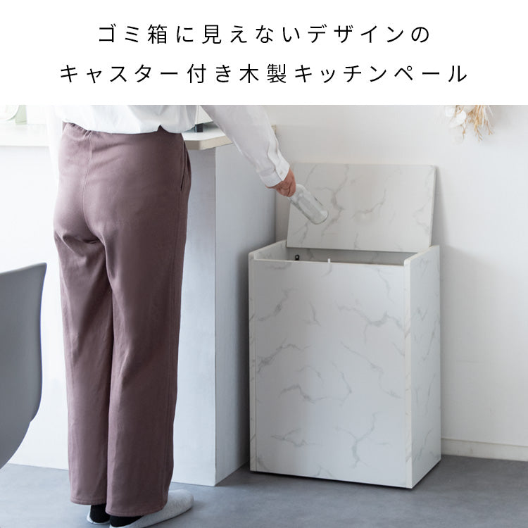 ダストボックス 幅45cm