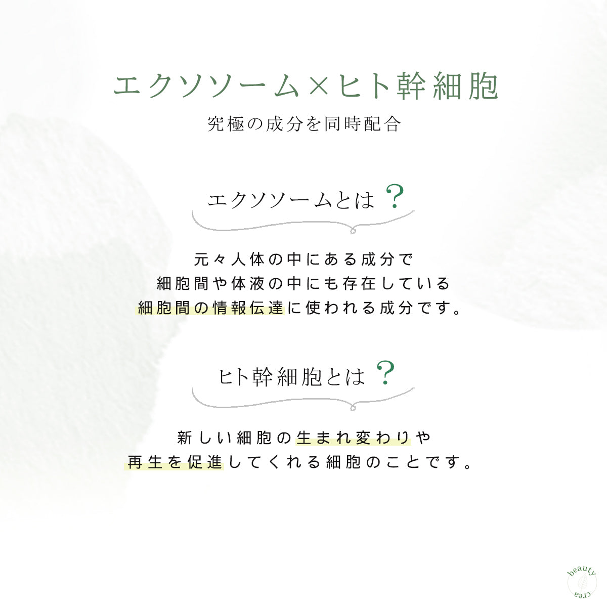 QUELL フィロソフィカル クリーム