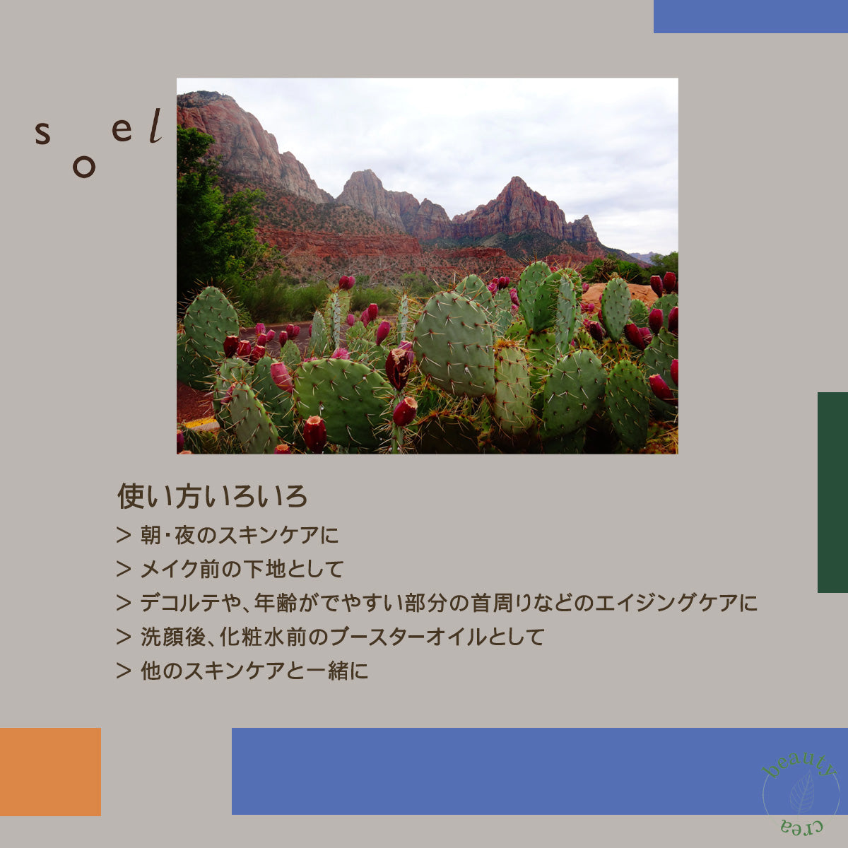 soel(ソエル)LIVING-OIL ウチワサボテンオイル 30mL