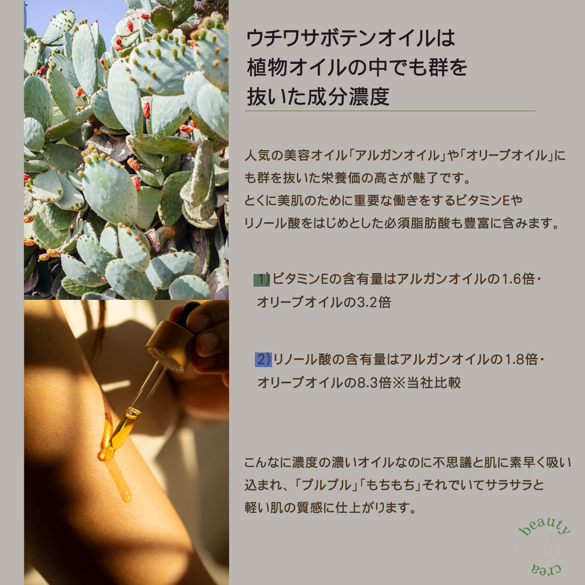 soel(ソエル)LIVING-OIL ウチワサボテンオイル 30mL