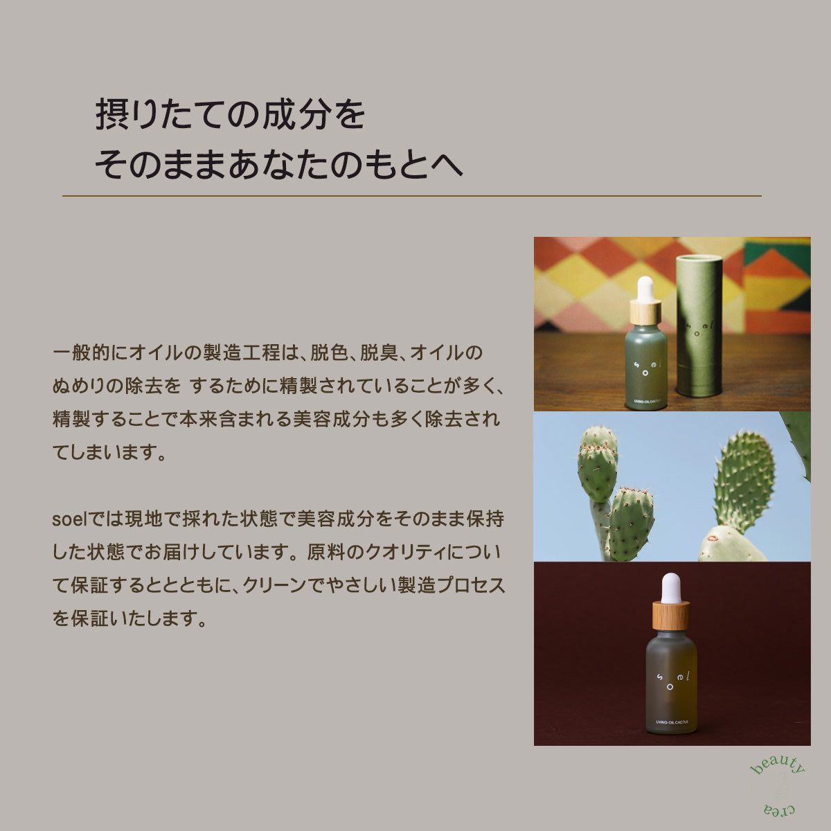 soel(ソエル)LIVING-OIL ウチワサボテンオイル 30mL