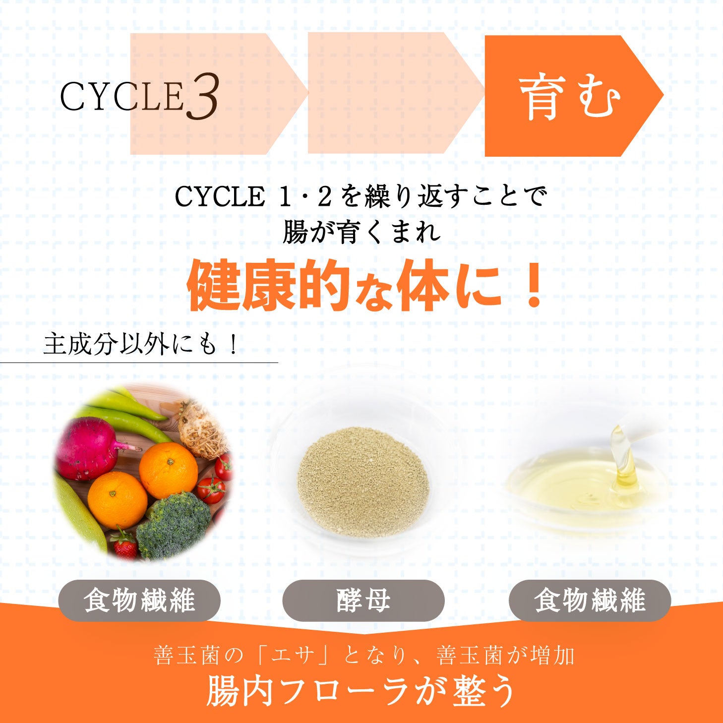 【メーカー公認ショップ】腸活サプリ chorism 腸リズム