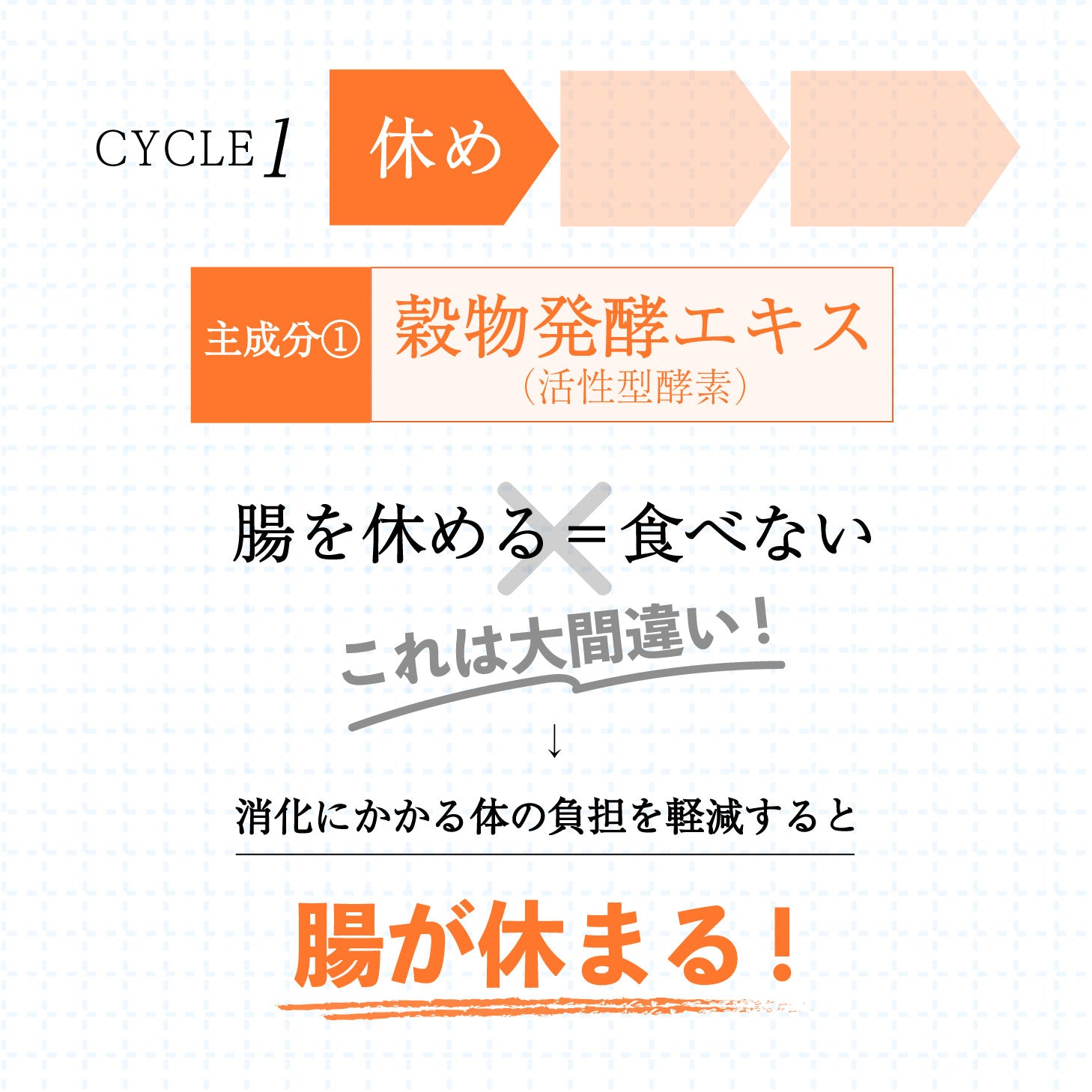 【メーカー公認ショップ】腸活サプリ chorism 腸リズム