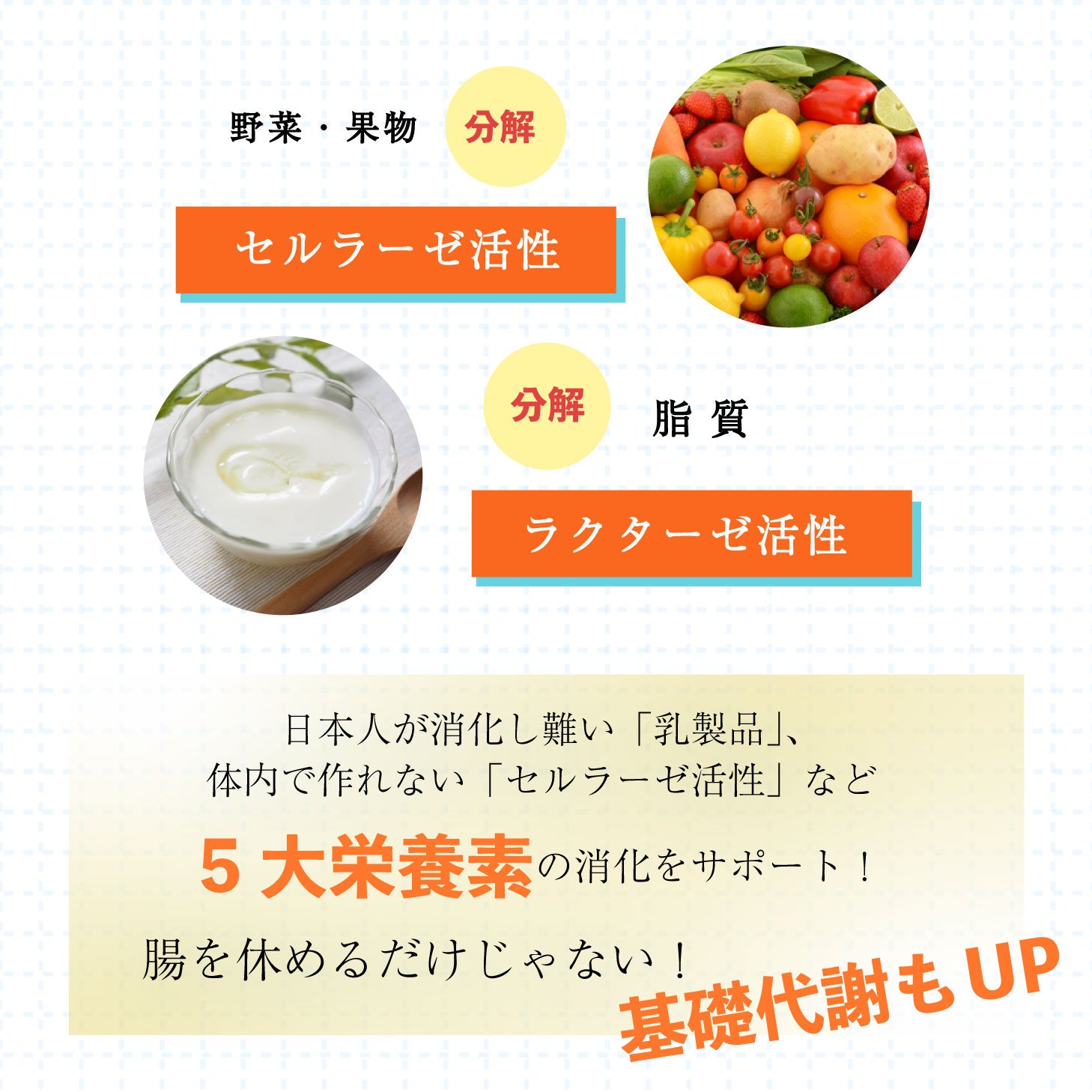 【メーカー公認ショップ】腸活サプリ chorism 腸リズム