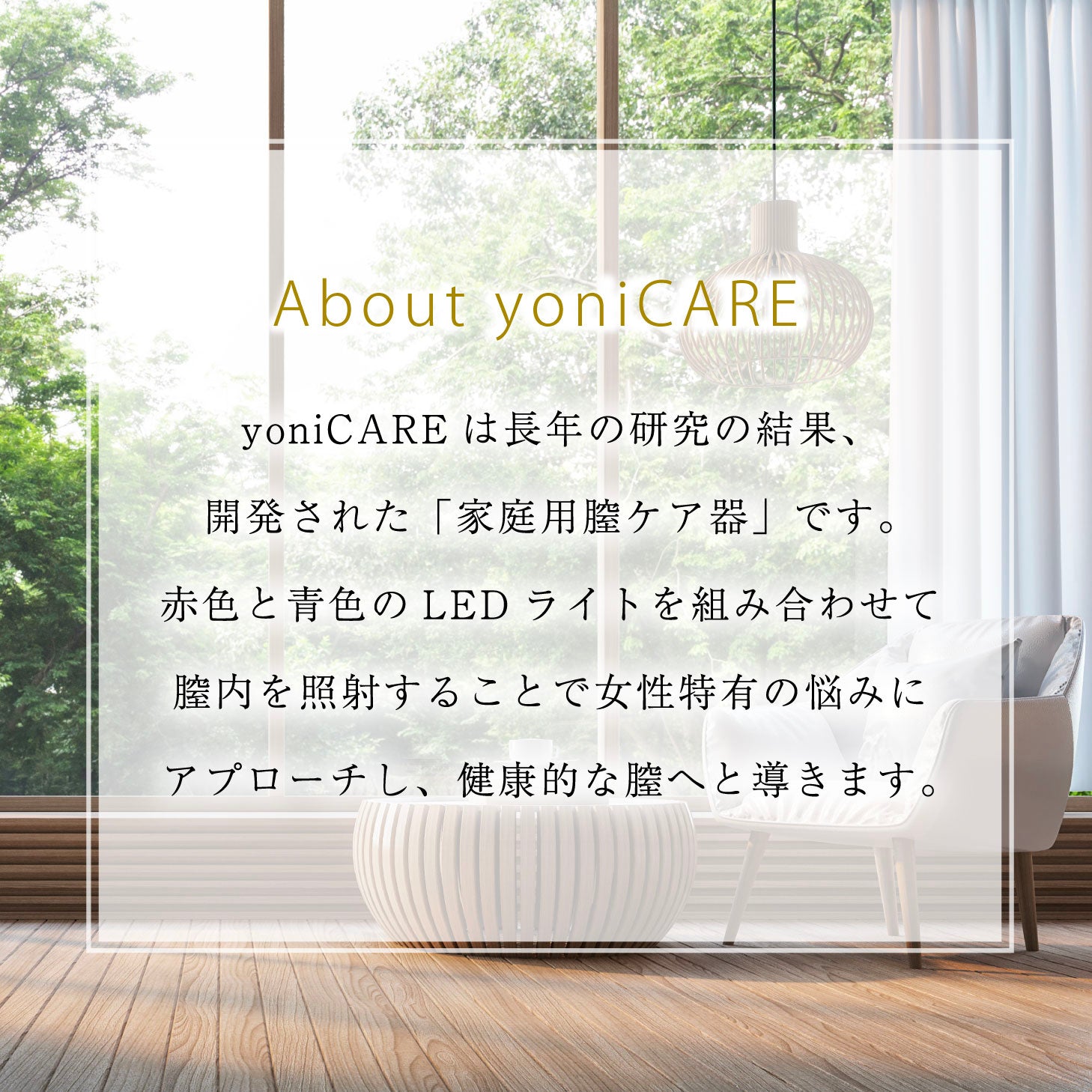 yoniCARE ヨニケア 家庭用膣トレ器 専用ジェル付