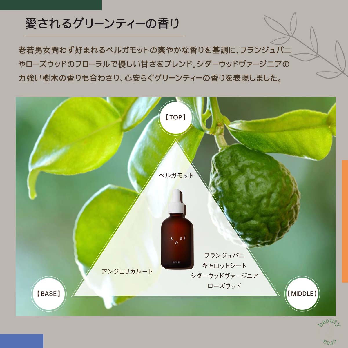 soel(ソエル)LIVING‐OIL 導入液 60ml