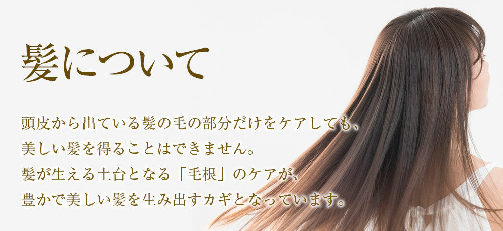 夢美髪 薬用育毛剤