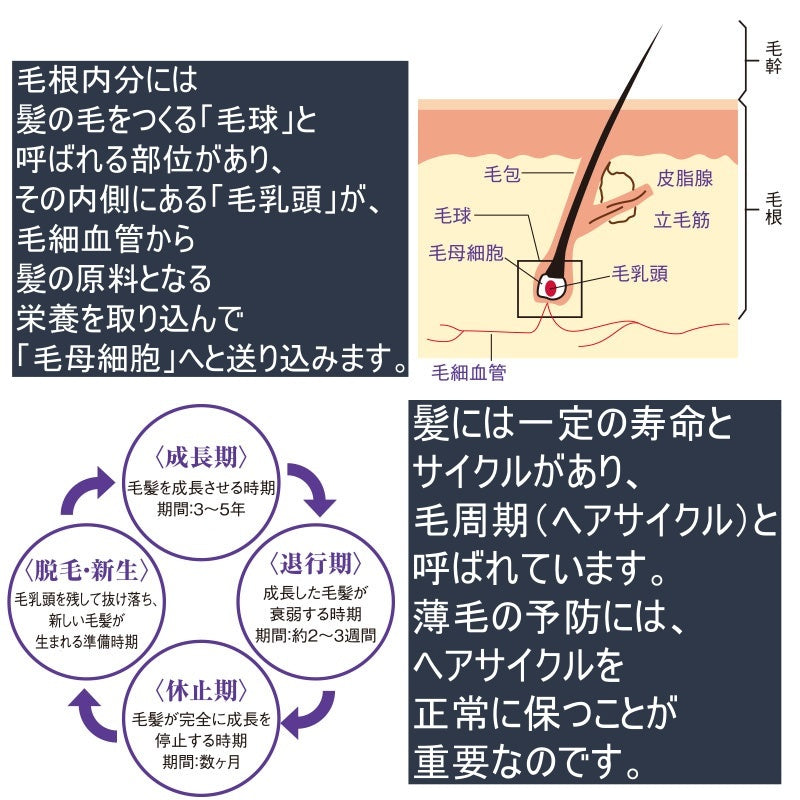 夢美髪 薬用育毛剤