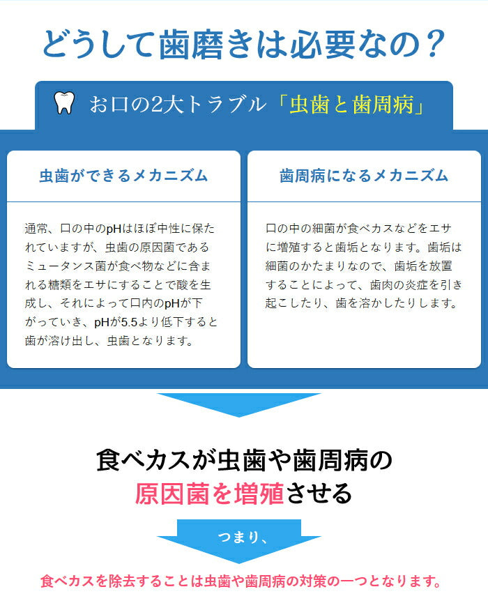 ドルチボーレ ベビートゥーペーストジェル 50g