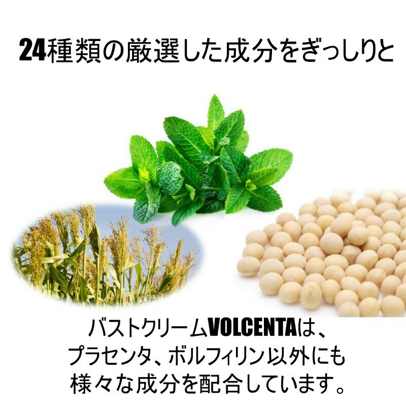 VOLCENTA ボルセンタ バストケアクリーム