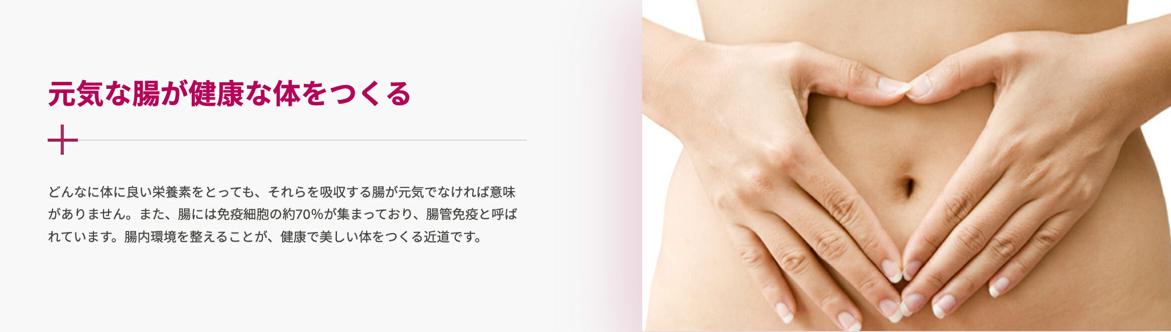 ソイリーンPlus プロテイン ベリー 360g