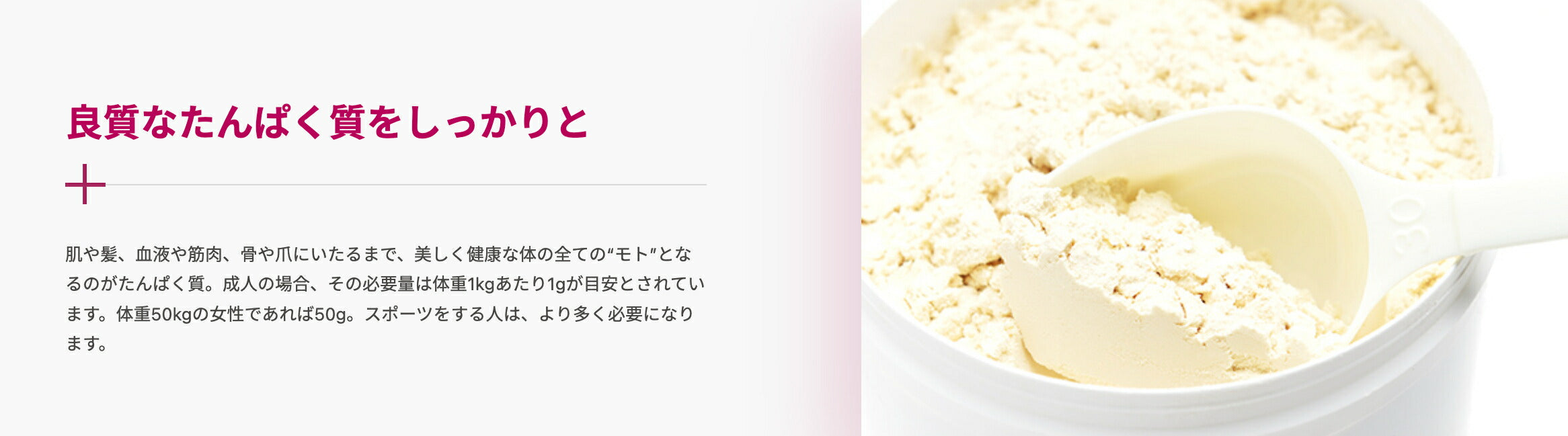 ソイリーンPlus プロテイン ベリー 360g