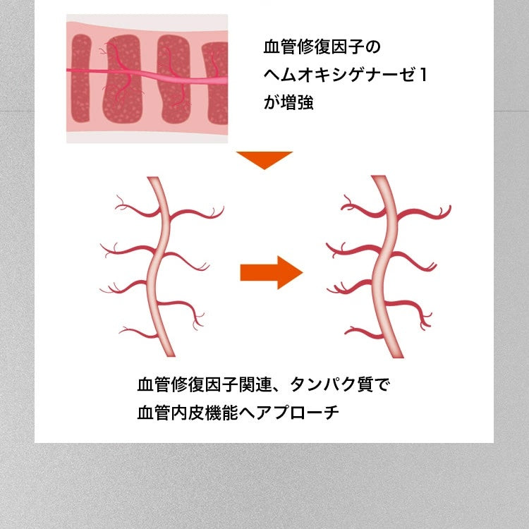 EDCARE 男性のデリケートなお悩みに