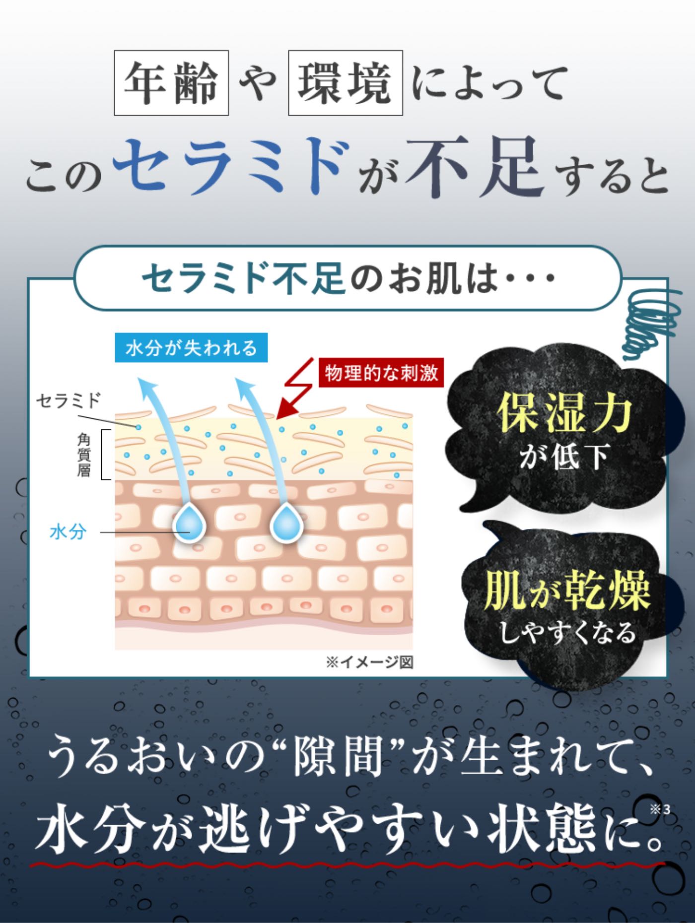 Cerafilm セラフィルム 舌の上で溶けるセラミドフィルムサプリ 30枚入