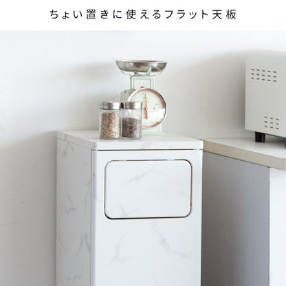 ダストボックス 幅25cm