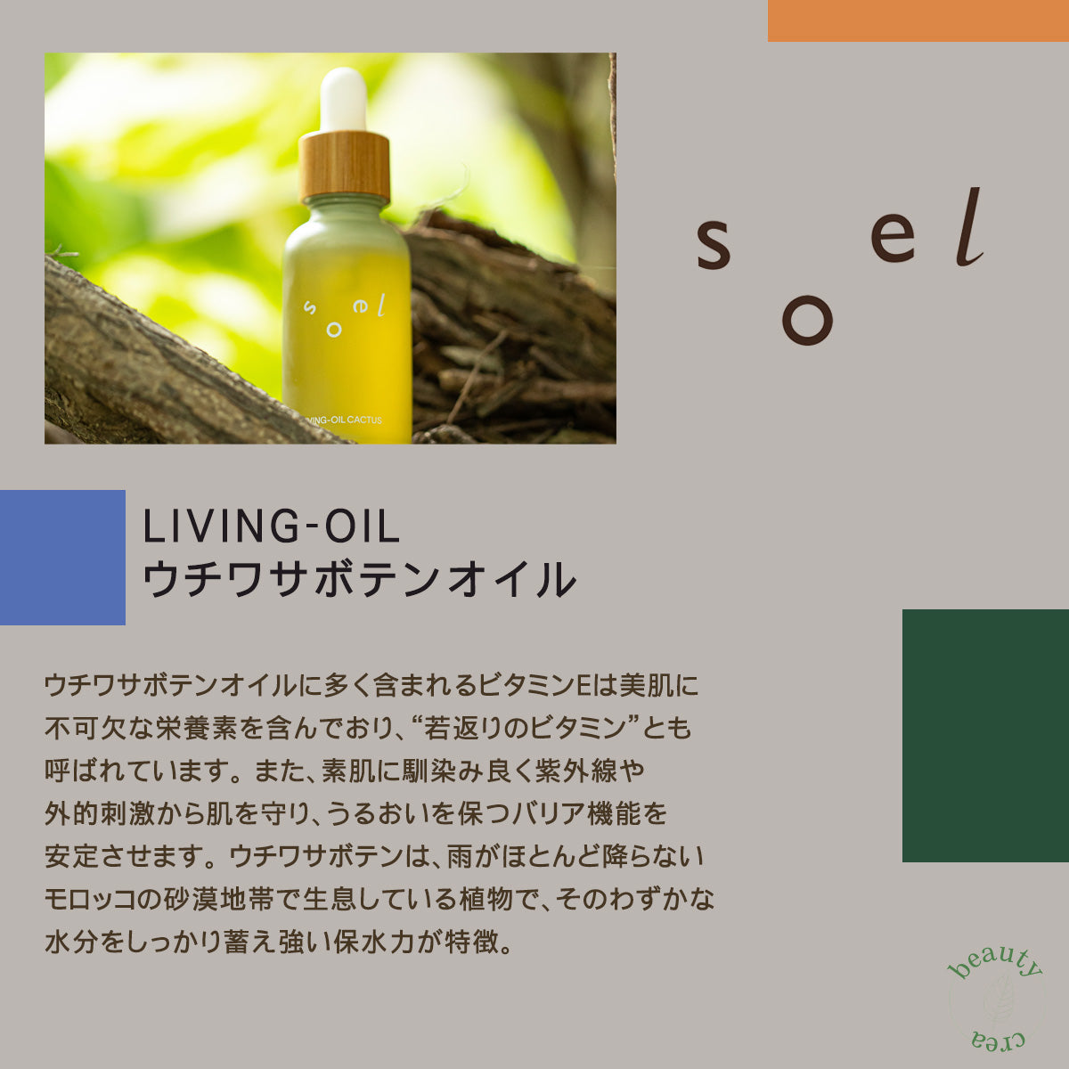 soel（ソエル）LIVING-OIL ウチワサボテンオイル 30mL
