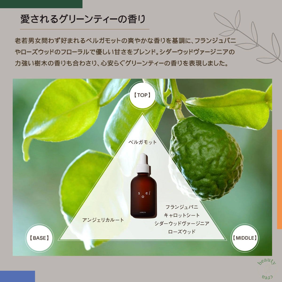 メーカー公認正規販売店】レビュー特典付 soel LIVING-OIL 2YOU 2種